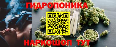 шишки Кулебаки