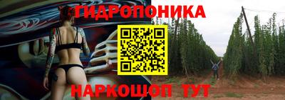шишки Кулебаки
