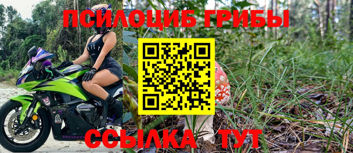 Галлюциногенные грибы MAGIC MUSHROOMS  Вход с VPN  Лыткарино 