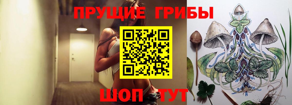 Псилоцибиновые грибы GOLDEN TEACHER Лыткарино